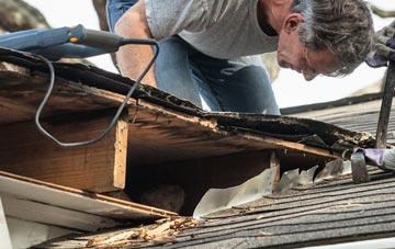 common causes of Ash Grove fascia damage
