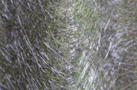 Ash Grove fibreglass roof work